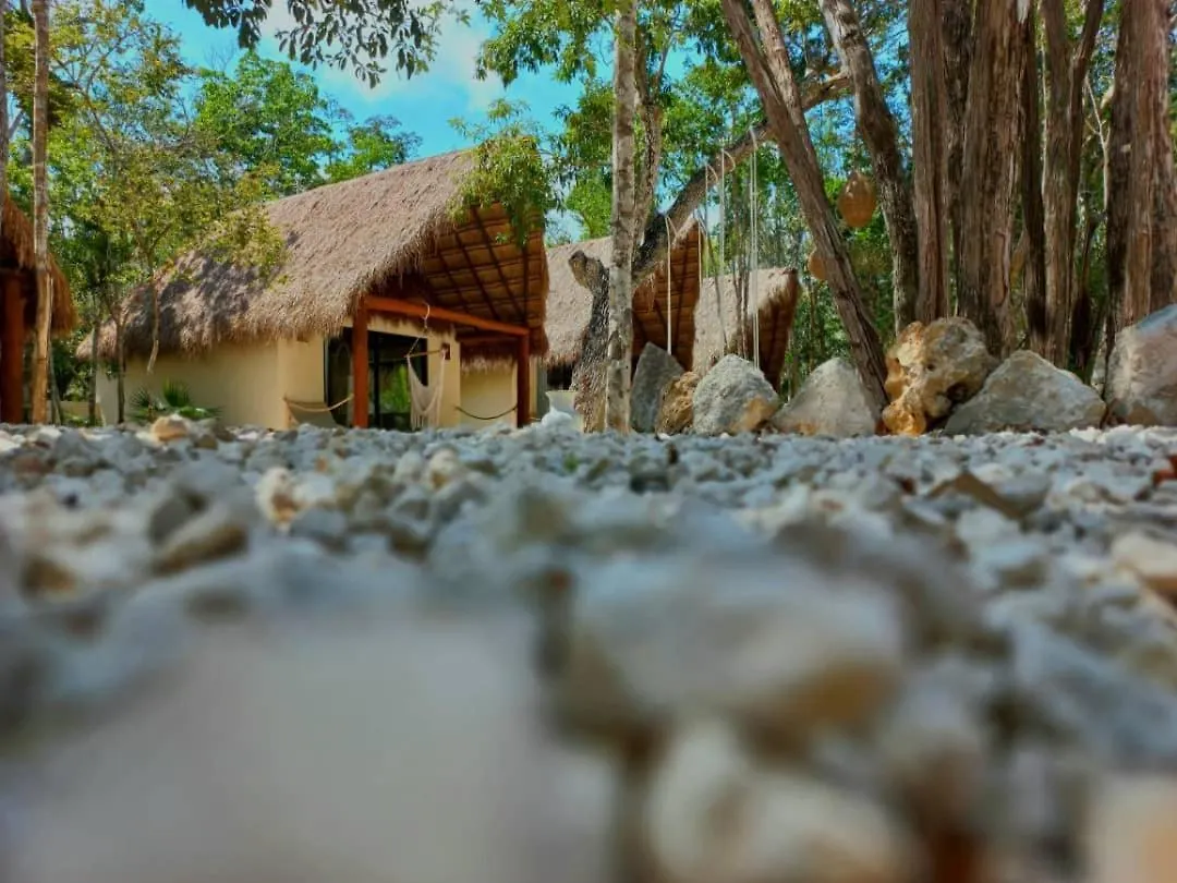 Hotel Magic Xcacel Tulum Chemuyil