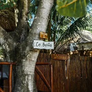 Eco Banitas Hotel Tulum Pueblo